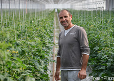 Antonio Della Spina riferisce che la sua intera produzione, destinata ad un mercato di fascia alta, viene attualmente acquistata da uno specialista olandese che commercializza pomodoro ciliegino tutto l'anno, grazie alle forniture di Orto Serre e di altri due coltivatori, uno spagnolo e uno locale nei Paesi Bassi.