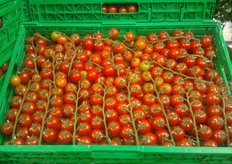 "Mi rivolgo in particolare a quanti ci raccomandano di fare qualita'. Noi la facciamo di sicuro; pero' finisce che a beneficiarne rimangono solo i mercati esteri!", conclude Antonio."