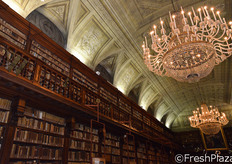 Una vista di parte della Biblioteca.