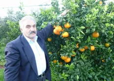 "L'arancio "Fukumoto", afferma Nuzzo (in foto) agrumicoltore d Massafra (Taranto), viene gia' raccolto a fine ottobre. La coltivazione del "Fukumoto" e' consigliata nelle aree, dell’arco jonico-tarantino, dove solitamente i frutti delle varieta' di agrumi a maturazione tardiva potrebbero risentire dei danni da gelo."