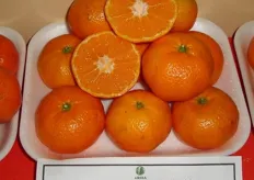 Gli ibridi triploidi sono caratterizzati dalla totale apirenia (assenza di semi) e dall'incapacita' di impollinare e generare semi nei frutti di altre piante, di mandarini e mandarino-simili, poste nelle vicinanze.