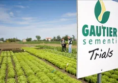 La Vetrina Dimostrativa di Gautier Sementi si e' svolta martedì 4 giugno nella zona di San Mauro Pascoli (FC), bacino produttivo strategico per la coltivazione di lattughe in pieno campo.
