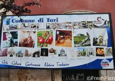 Il Comune di Turi e' noto, tra le altre cose, proprio per la sua produzione cerasicola.