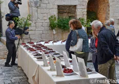 In contemporanea alla festa, e' stata allestita una mostra pomologica dedicata alla ciliegia presso il Palazzo Marchesale di Turi.