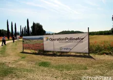Il sito Operation Pollinator, dove si sono toccati con mano gli aspetti agronomici ed entomologici, discussi dai vari professori in precedenza.