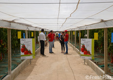 Qui, nelle giornate del 20 e 21 giugno 2013, e' stato organizzato un evento riservato ai principali attori della grande distribuzione italiana, i quali hanno potuto assaggiare le varieta' di pomodoro e toccare con mano la concretezza delle garanzie qualitative, di salubrita' e sostenibilita' che accompagnano le Produzioni Italiane Sostenibili.