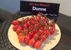 "Dunne e' il mini San Marzano Syngenta sul quale il Consorzio "Il Pomodoro Italiano" detiene l'esclusiva. Il Consorzio, costituitosi nel 2007, riunisce 680 ettari coltivati a pomodoro, per un fatturato complessivo di 278 milioni di euro nel 2012."
