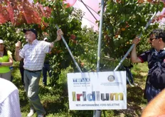 Nel corso del Basilicata Frutta Day, del 15 giugno 2013, gli specialisti dell'Agritenax e il Prof. Davide Neri, hanno illustrato i benefici delle tecniche di copertura dei frutteti con reti antigrandine e fotoselettive, tipologia Iridium.