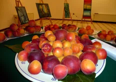 Il binomio Frutta e Arte e' stato il filo conduttore della serata ludica del Basilicata Frutta Day, del 15 giugno 2013.