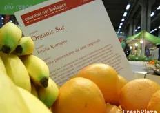 Banane e agrumi Organic Sur.