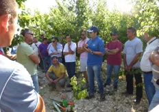 In foto momenti della giornata tecnica sulla potatura verde dell'albicocco organizzata il 13 luglio 2013 a Riesi (Caltanissetta), dal CO.VI.L., in collaborazione con alcune aziende agricole e tecnici del posto.