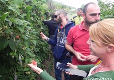 Assaggio lamponi presso l'azienda Zampieri. In primo piano, Lara Giongo.