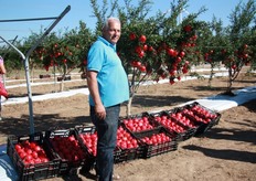 "Uzi Cairo (vivai Cairo&Doutcher) e' tra i partecipanti della Tavola Rotonda: "I consumatori scoprono il melograno", organizzata dal Centro Servizi Ortofrutticoli (CSO) in data mercoledi' 25 settembre 2013 dalle 16 alle 18.30, presso la Sala Agricoltura del Macfrut di Cesena. Il programma vede la partecipazione, come altri relatori, di: Claudio Gamberini (Conad), Giacomo Linoci (Pomgrana), Silver Giorgini (Orogel), Alessandra Bordoni (Unibo)."