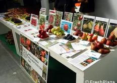 Le nuove selezioni varietali proposte dal Consiglio per la Ricerca in Agricoltura (CRA), unita' di ricerca per la frutticoltura di Forli'.
