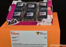 "EuroBerry ha presentato il nuovo marchio di mirtilli "RocioBerry, con una nuova confezione e una nuova etichetta."