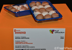 Confezioni di funghi misti.