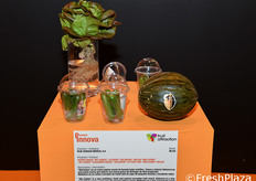 Alcune nuove proposte della filiale spagnola di Rijk Zwaan, tra le quali anche uno zucchino snack.