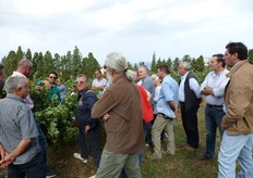 Le numerose giornate tecniche, promosse e organizzate dal Consorzio Vivaisti Lucani di Scanzano Jonico (provincia di Matera), hanno lo scopo di fornire ai frutticoltori informazioni sulla conduzione dei frutteti realizzati con le varieta' proposte dai vivai lucani.