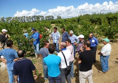 "In foto un momento delle prove dimostrative di potatura autunnale dell'albicocco, a cura dell'agronomo Vito Vitelli, presso l'azienda agricola "S. Fara - Riccardi" di Metaponto (provincia di Matera), svolte il 16 settembre 2013."