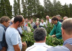 "In foto un momento delle prove dimostrative di potatura autunnale dell'albicocco, a cura dell'agronomo Vito Vitelli, presso l'azienda agricola "Francesco Musotto" di Finale di Pollina (provincia di Palermo), svolte il 12 ottobre 2013."