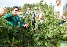 La corretta applicazione dei suggerimenti dei tecnici, afferma l'agronomo Vito Vitelli (in foto) del CO.VI.L., permette di ottimizzare le rese di produzione e contenere i costi di gestione dell'impianto.