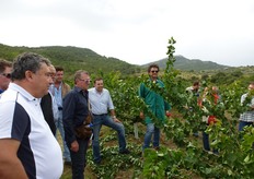 A seguire alcune foto sui momenti delle esercitazioni pratiche di potatura autunnale dell'albicocco, coordinate da Vito Vitelli, durante le giornate tecniche sull'albicocco svolte in Puglia, Basilicata (16 settembre 2013) e Sicilia (12 e 13 ottobre 2013), promosse e organizzate dal Consorzio Vivaisti Lucani.