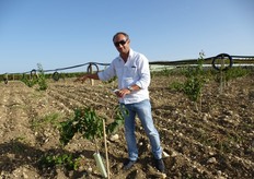 "In alcune aree dell'agrigentino (Sicilia), tradizionalmente viticole, gli impianti di albicocco iniziano a "farsi spazio" tra i tendoni. In foto il giovane albicoccheto, costituito con le varieta' del gruppo Escande, Tsunami*, Pinkcot*, Big Red* e Banzai*, presso l'azienda agricola dell'agrotecnico Michele Di Pasquale (in foto) in agro di Ravanusa, (provincia di Agrigento)."