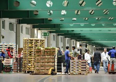 "Con una superficie utile di 67.653 mq, gli edifici dedicati al Mercato Ortofrutticolo sfiorano il 50 per cento del totale della struttura; ma la quota e' superata abbondantemente se si aggiungono gli 8.000 mq della "piattaforma grandi acquirenti". Foto: Archivio CAR."