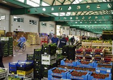 Negli stand del CAR, ciascuno da circa 355 mq, operano circa 90 grossisti ortofrutticoli e 300 agricoltori. Tra le categorie di acquirenti, le prime due in termini di peso percentuale sono quelle dei dettaglianti (36 per cento) e dei mercati, anche rionali, con il 33 per cento. Foto: Archivio CAR.