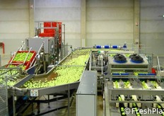 In inverno si lavorano mele (nella foto), pere e susine.