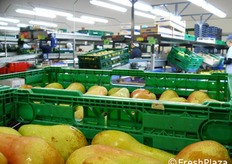 Linee di lavorazione per le pere.