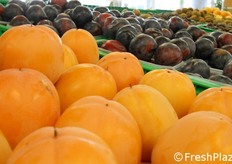 Nei 16 punti vendita al dettaglio Agrintesa si trovano i prodotti conferiti ogni giorno dai soci ma anche prodotti esterni alla cooperativa a completamento della gamma. Il fatturato raggiunge 10 milioni di euro.