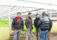 L'Azienda Agricola Di Maio Giuseppe Pio Francolise nasce negli anni '70 grazie ai F.lli Di Maio (Carmine e Nicola) che sono dediti da anni alla produzione vivaistica. Oggi un settore dell'azienda, che opera su circa 10 ettari, gestito da Nicola e dai figli Giuseppe e Marco si e' specializzato nella produzione di ortaggi in serra, in particolare lattughe, rucola, ravanelli e peperoni la cui produzione e' destinata al mercato italiano ed estero.