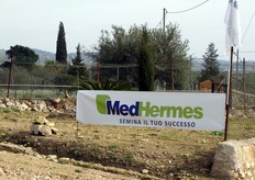 Giovedi' 23 gennaio 2014, presso l'azienda agricola Riserva Verde Ortaggi della Val di Noto dei F.lli Cicciarella Agro di Noto (SR), la MedHermes Sementi Srl ha tenuto un open day per presentare la nuova zucchina verde Tecla F1 per serra e tunnel.