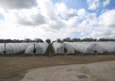 Il campo dove si e' svolta la giornata dimostrativa.