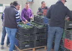 Visita al frutto in magazzino.