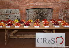 Come ogni anno, il Castello di Lagnasco ha ospitato anche la mostra pomologica allestita dal CreSo.