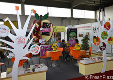 L'area espositiva interna.