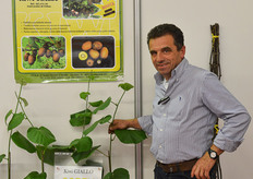 Renato Spada di Convi Vivai.