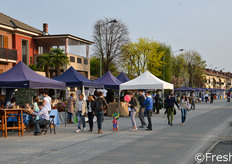 "La manifestazione vede ogni anno anche l'allestimento del "Mercatino Fruttinfiore" con prodotti dell'enogastronomia e dell'artigianato locale."