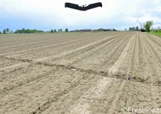 Finora i droni sono stati sperimentati in 12 aziende agricole associate al Consorzio e dislocate tra le province di Piacenza, Parma e Cremona, per un totale di 150 ettari (sui 4.500 riuniti dal Consorzio).