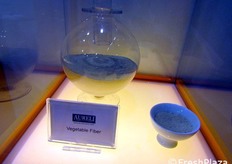 Vegetable fiber: un addensante ricercatissimo soprattutto nel settore delle carni.