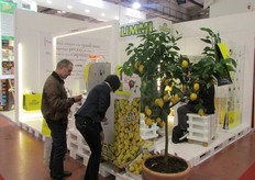 Nata a Perugia nel 1994, B&G produce e distribuisce prodotti alimentari di alta qualita' che si differenziano nel mercato per freschezza, genuinita', originalita' e praticita'.