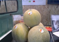 La zona di produzione del Melone Mantovano IGP interessa il territorio di 45 Comuni, di cui 28 in provincia di Mantova, e i restanti distribuiti fra le province di Cremona, Ferrara, Bologna e Modena. Nel 2013 sono state commercializzate circa 400 tonnellate di prodotto certificato, per il 2014 il Consorzio prevede di raddoppiare i volumi perche' - agli storici produttori Nadalini e Aguzzi di Sermide, Bellaguarda di Viadana e Francescon di Rodigo - si sono aggiunti nuovi soci produttori. Il melone si trova in commercio in confezioni di cartone marchiate Melone Mantovano IGP e tutti i frutti sono riconoscibili dal bollino con il logo del prodotto.
