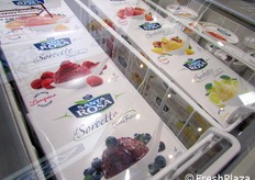 "Non solo confetture, Santa Rosa propone ora anche il Sorbetto "Tanta frutta a pezzettoni"."