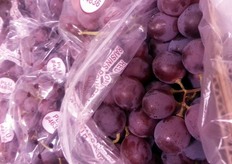 "L'uva invece era ancora quella controstagionale, proveniente dall'emisfero meridionale. In foto: uva Red Globe cilena. "Viene offerta a prezzi molto competitivi, inferiori a quelli dell'uva italiana", testimonia Teresa Diomede."