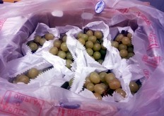 "Uva bianca brasiliana con semi, che gli Spagnoli chiamano "Moscato". Come spiega l'imprenditrice pugliese: "Si tratta anche in questo caso di un'uva con semi, alternativa alla nostra varieta' Italia. Viene destinata, sempre a prezzi molto competitivi, ai mercati del Nord Africa."