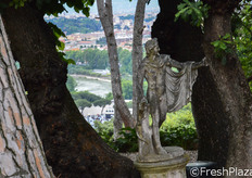 "Da qui si gode di una splendida vista sulla Capitale, protagonista anche del film premio Oscar "La Grande Bellezza"."