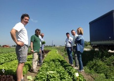 Produttori, vivaisti, tecnici e commercianti, hanno partecipato numerosi e interessati all'evento, e hanno potuto vedere tutte le novita' di gamma direttamente in campo.