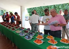 Si e' svolta venerdi' 11 luglio 2014, a Martorano di Cesena (FC) una mostra pomologica su albicocco, pesco e susino organizzata dal CRPV-Centro Ricerche Produzioni Vegetali. In questa galleria, le foto realizzate nell'occasione da FreshPlaza.